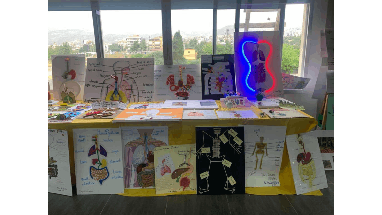 Events - Science Fair