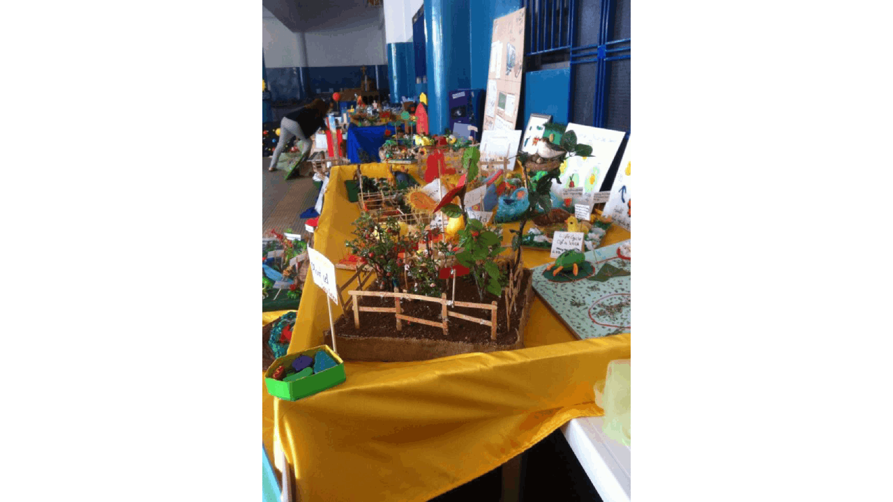 Events - Science Fair