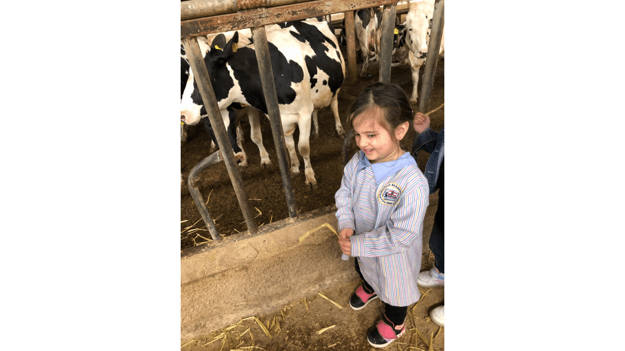 Events - Visit to the farm