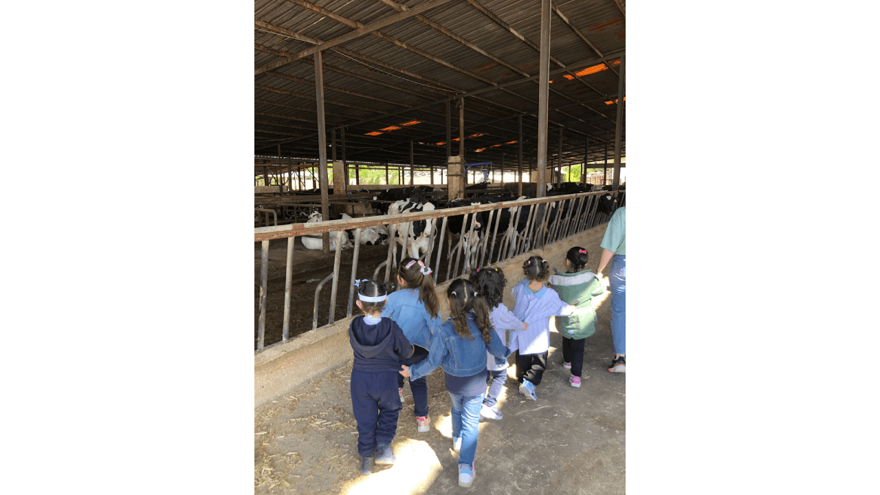 Events - Visit to the farm